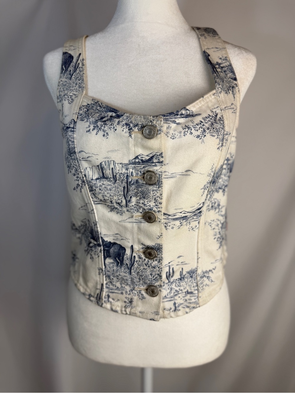 Levi's Alani Western Denim Corset Top